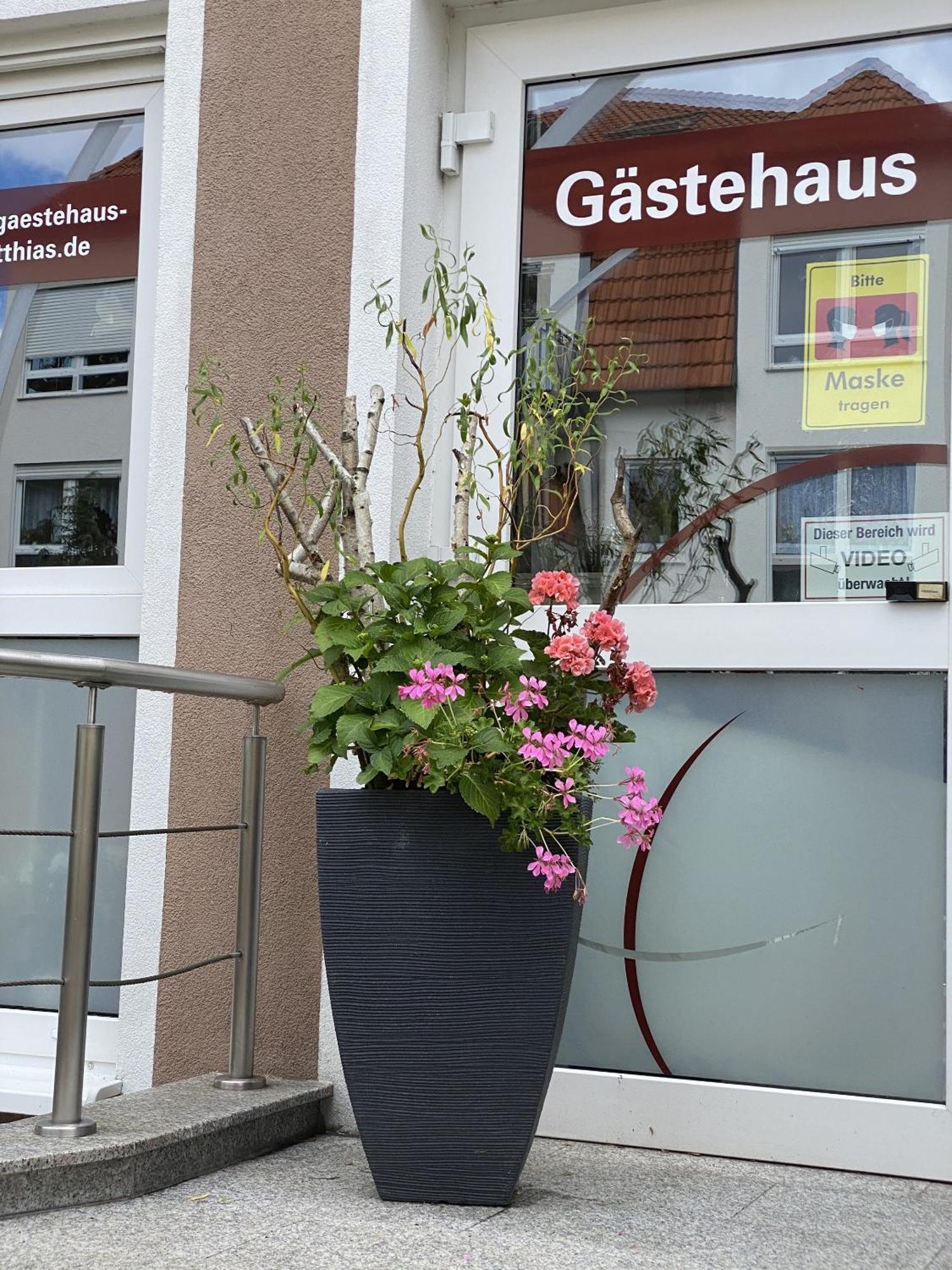 Apartments Und Zimmer Gaestehaus Matthias Dresden Eksteriør bilde